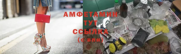 метадон Вяземский