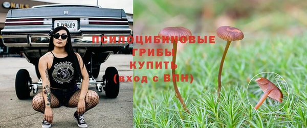 метадон Вяземский